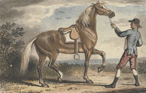 Stalljunge hält ein Pferd in einer Landschaft von John Collet