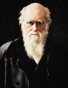 Porträt des englischen Naturforschers Charles Darwin (Detail)