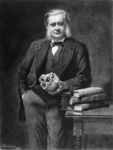 Thomas Henry Huxley (1825-95) geätzt von Leopold Flameng (1831-1911) 1885