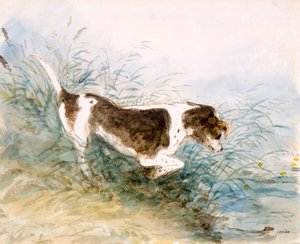 Ein Hund beobachtet eine Ratte im Wasser, 1831