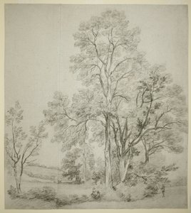 Eine Gruppe von Ulmen (recto); Eine Studie von East Bergholt mit der Kirche (verso)