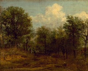 Ein Wald