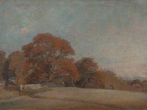Herbstlandschaft in East Bergholt