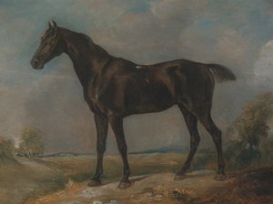 Golding Constables schwarzes Reitpferd, zwischen 1805 und 1810 von John Constable