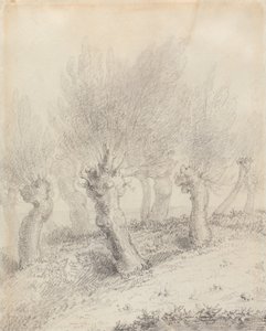 Kopfweiden von John Constable