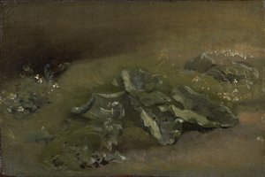 Studie einer Klette, ca. 1810-14 oder ca. 1828 von John Constable