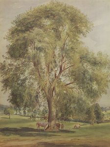 Der Baum
