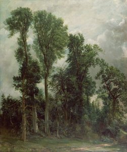 Bäume in Hampstead von John Constable