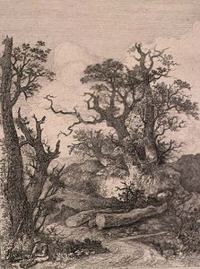 In Marlingford, veröffentlicht von J. & W. Freeman von John Crome
