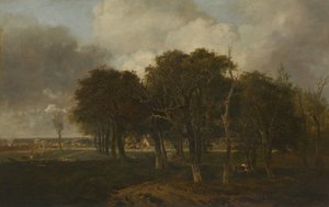 Hautbois Common, Norfolk