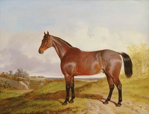 Studie eines braunen Jägers in einer Landschaft, 1854