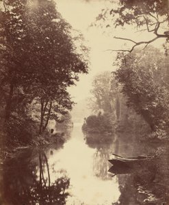 Ein Sommerabend, Penllergare, 25. August 1854 von John Dillwyn Llewelyn