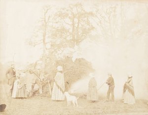 Guy Fawkes, 1853 von John Dillwyn Llewelyn