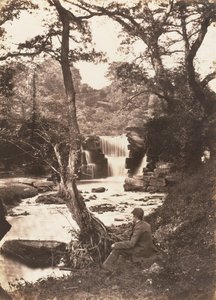 Der obere Fall von John Dillwyn Llewelyn