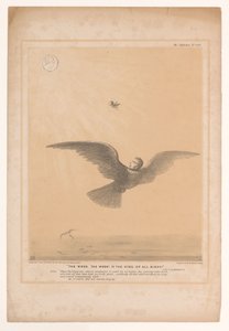 Karikatur mit Lord Russell als Zaunkönig von John Doyle