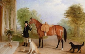 Ein Stallknecht mit einem Pferd