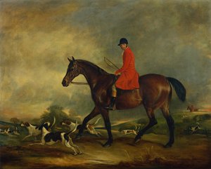Kapitän Garth auf seinem Braunen Jäger mit Hunden