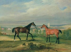 Graf Bathyanys Lieblingsjäger in Melton Mowbray von John E. Ferneley