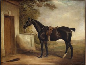 Porträt von Buckle, dem Jäger des ersten Lord Chesham, 1836