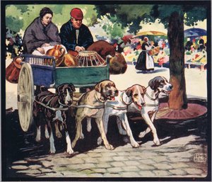 Französischer Hundewagen, Illustration aus 