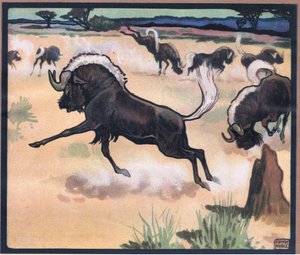Gnu