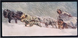 Huskies ziehen einen Schlitten, Illustration aus 