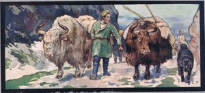 Bergyaks, Illustration aus 
