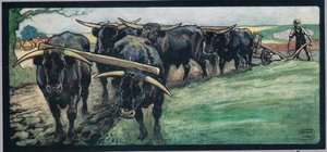Feld pflügen, Illustration aus 