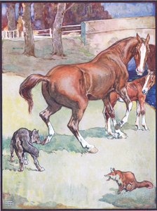 Die Stute hob ihren Huf, Illustration für Reineke Fuchs, aus Tierlegenden aus vielen Ländern, veröffentlicht von Raphael Tuck & Sons Ltd.