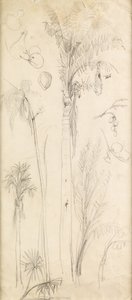 Palmen von John Everett Millais