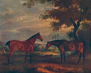 Yorkshire-Jäger auf der Weide, ca. 1840, 1922