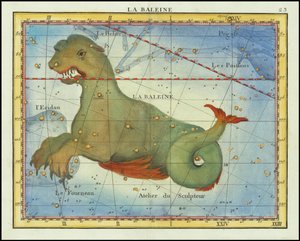 1776 - John Flamsteed - Der Wal (Cetus)