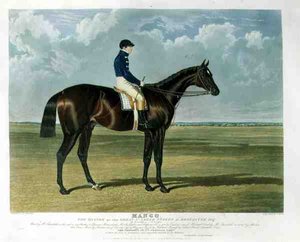 Mango, der Gewinner des Great St. Leger Stakes in Doncaster von John Frederick Herring Snr
