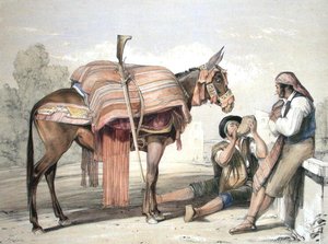 Wandernde Bauern mit einem Maultier, Andalusien