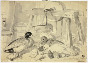 Enten, Entenküken und Schleifstein