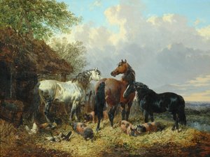 Drei Pferde mit Schweinen
