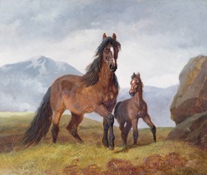 Eine walisische Bergstute und Fohlen, 1854 (Tafel)