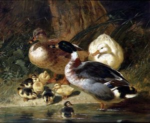Enten und Entenküken von John Frederick Herring Senior