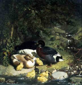 Enten und Entenküken von John Frederick Herring Senior