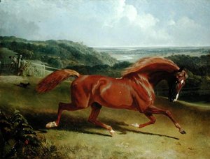 Galoppierendes Pferd in einer Landschaft