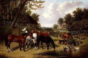 Pferde an einem Bauernhofteich