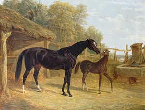 Levity, im Besitz von J.C. Cockerill Esq., mit ihrem Fohlen Queen Elizabeth, im Besitz von Lord Dorchester, 1843