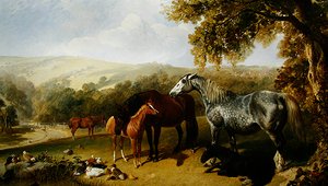 Stuten und Fohlen in einer Landschaft