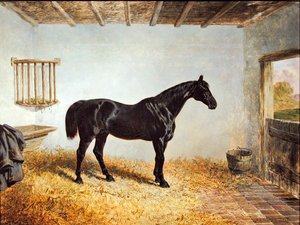 Porträt eines Hengstes, der in einem Stall steht von John Frederick Herring Senior