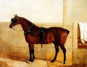 Preisgekröntes Shire-Pferd im Geschirr von John Frederick Herring Senior