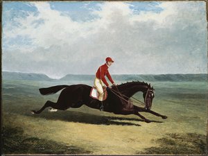 Der Baron mit Bumpy Up, in Newmarket von John Frederick Herring Senior