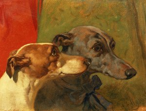 Die Windhunde 