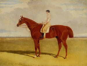 Plenipotentiary mit P. Conolly in Six Mile Bottom, Newmarket