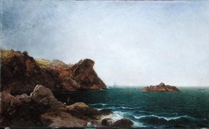Nahant-Felsen und Küste