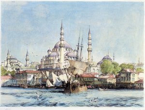 Yeni Jami und St. Sophia vom Goldenen Horn, Tafel 9 aus 